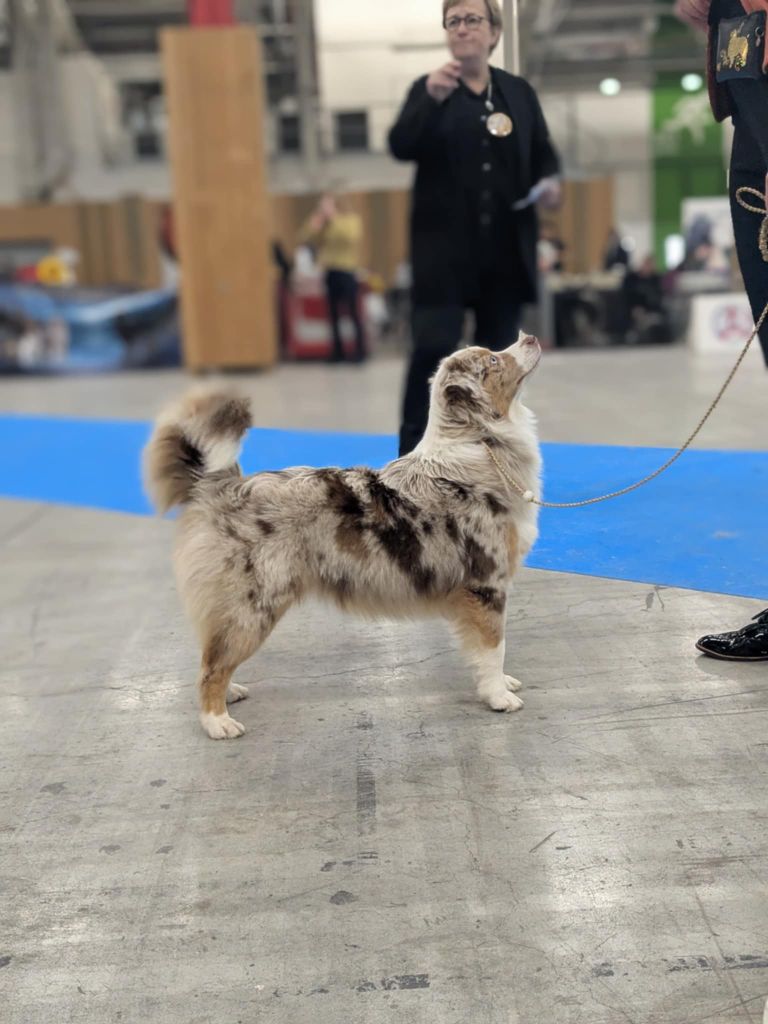 Vi'ctoire bayle Des Amis Loups