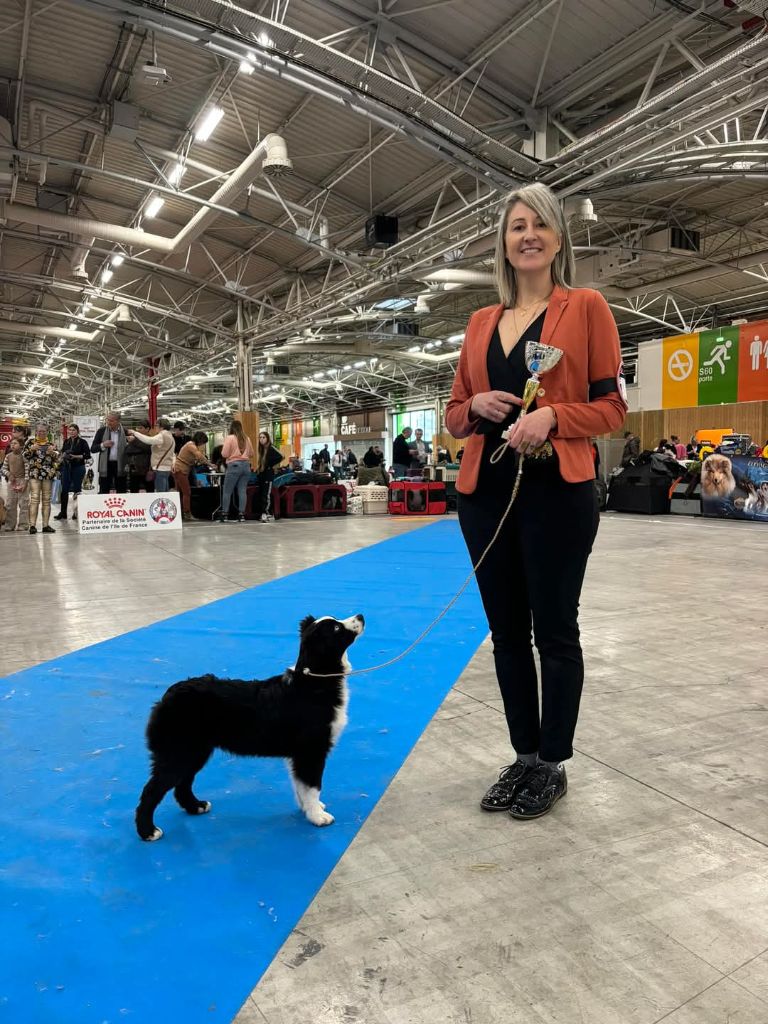 Des Amis Loups - PARIS DOG SHOW 2025