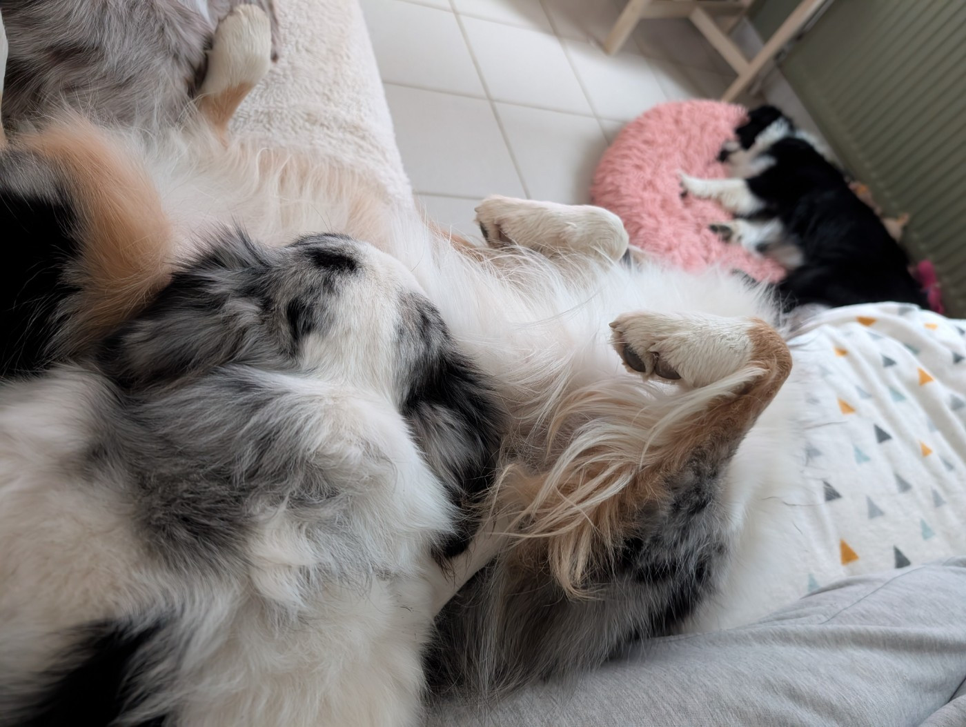 Pas de bébé cette fin d'année