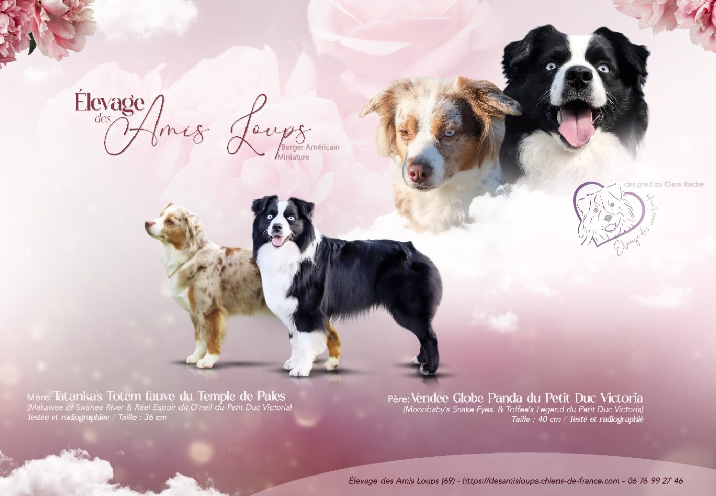 Les bébés de Fauve et Panda