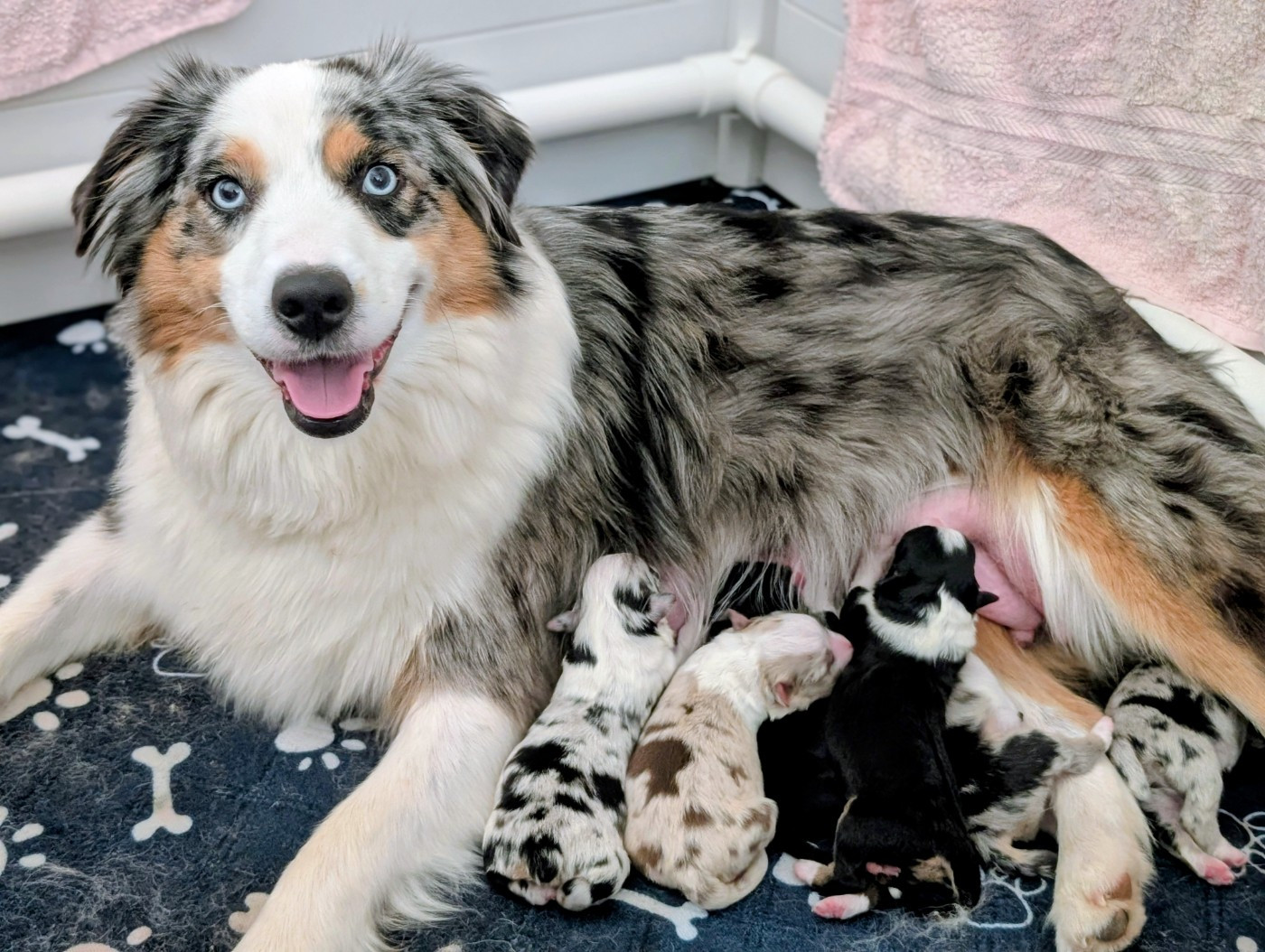 Les bébés sont arrivés